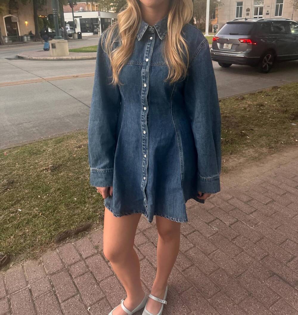 NEW OLIVACEOUS denim button down mini dress in blue